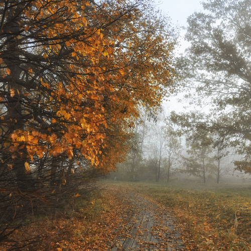 Photo #13984163