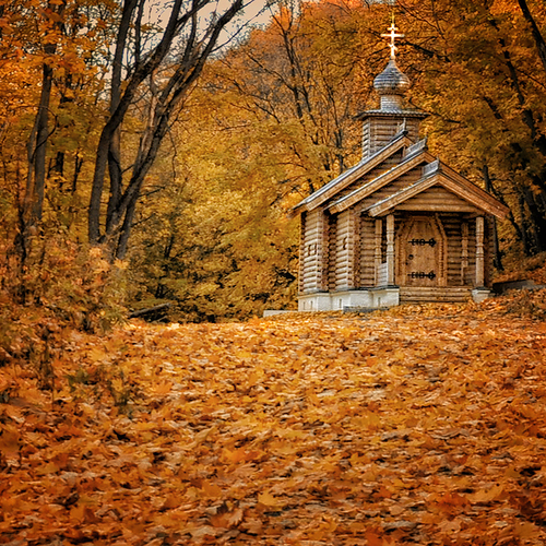 Photo #13984234