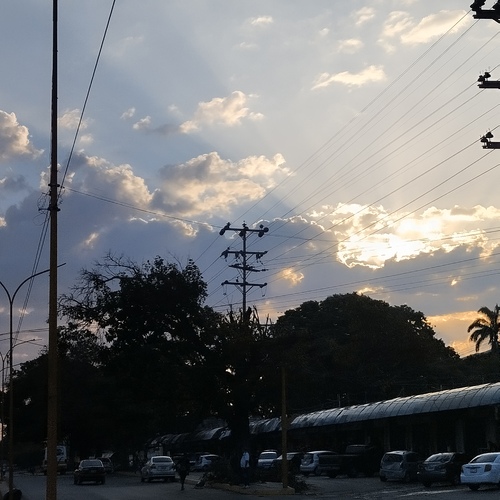 Photo #13984295