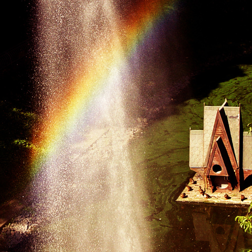 Photo #13984321
