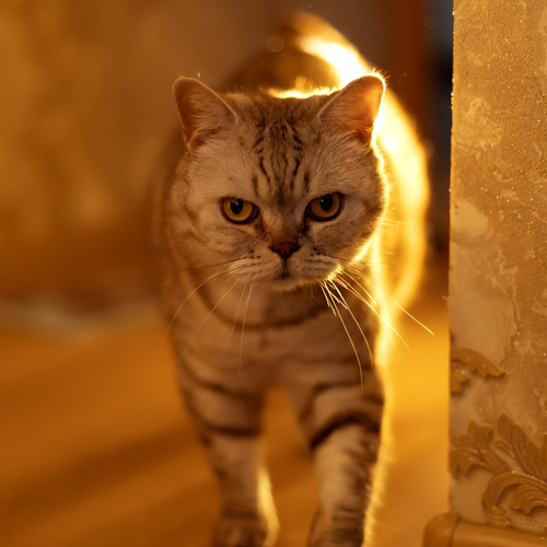 Photo #13984344