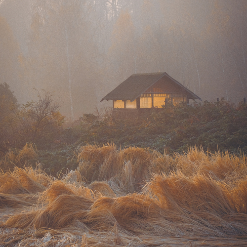 Photo #13984571