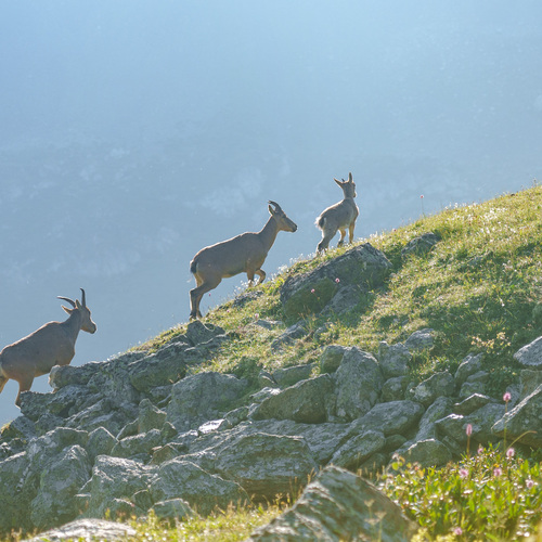 Photo #13984650