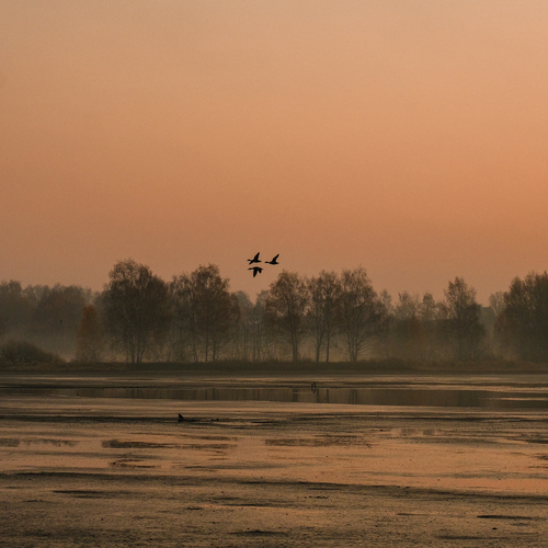 Photo #13984663