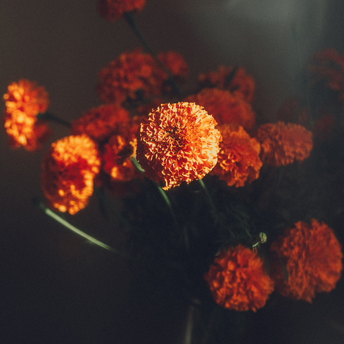 Photo #13984726