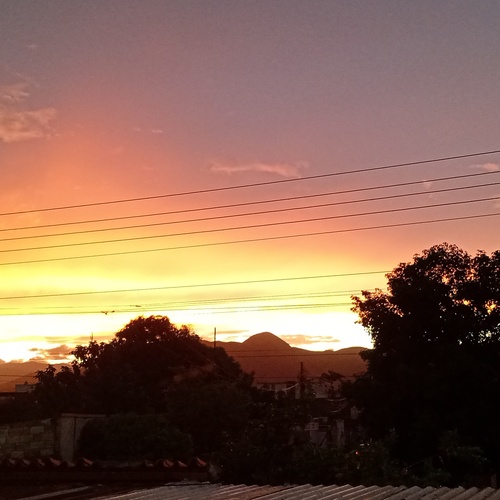 Photo #13985061