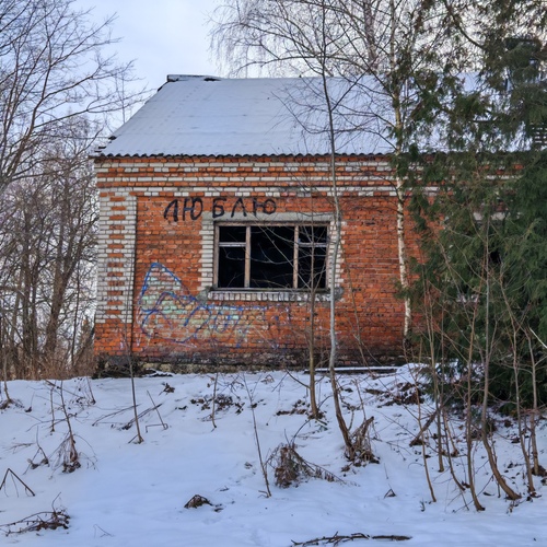 Photo #13985091