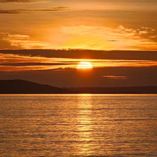 Photo #13985094