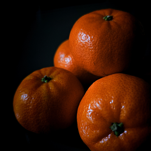 Photo #13985147