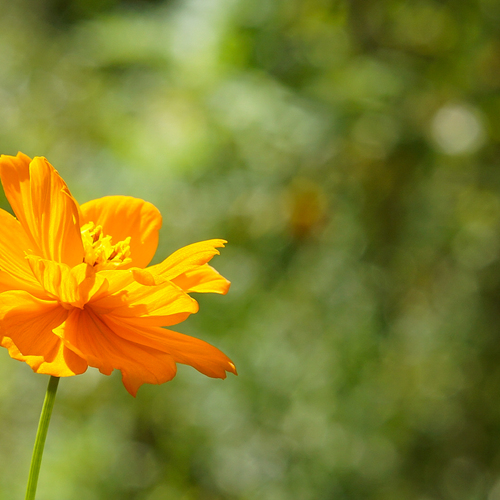 Photo #13985168
