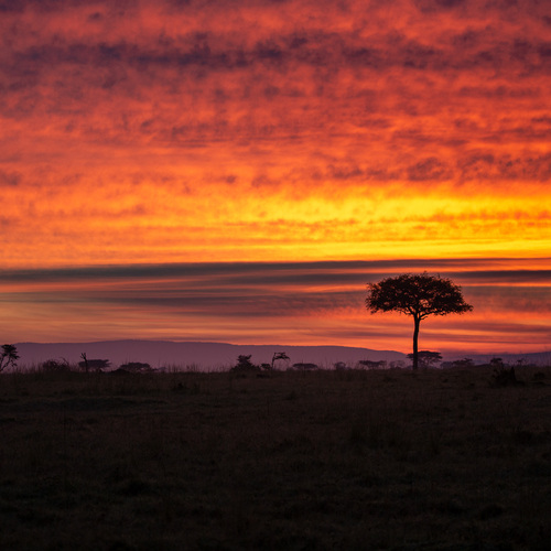 Photo #13985279