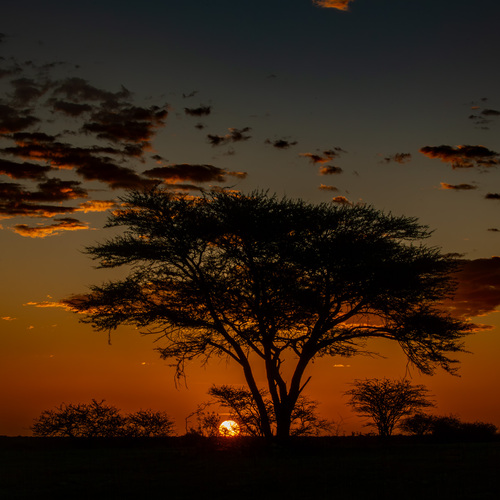 Photo #13985433