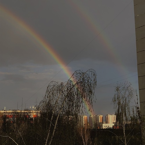 Photo #13985456
