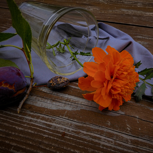 Photo #13985486
