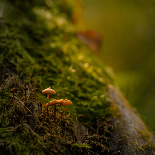 Photo #13985548