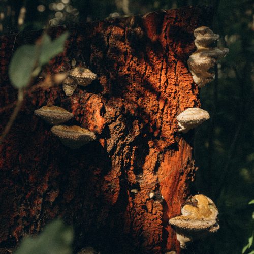 Photo #13985550