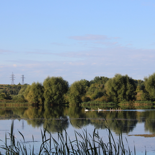 Photo #13985581
