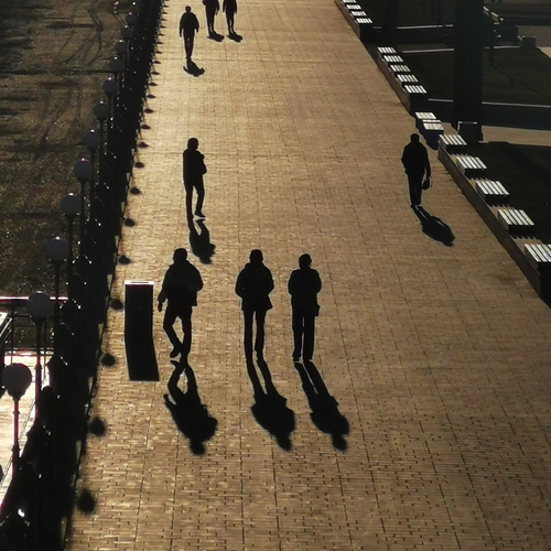 Photo #13985601