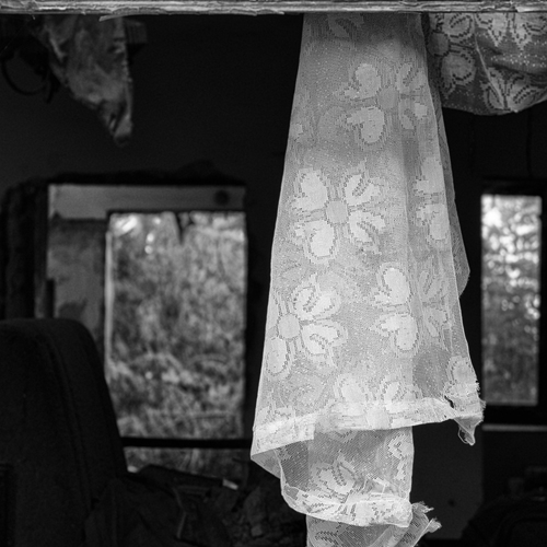 Photo #13985655