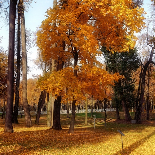 Photo #13985906