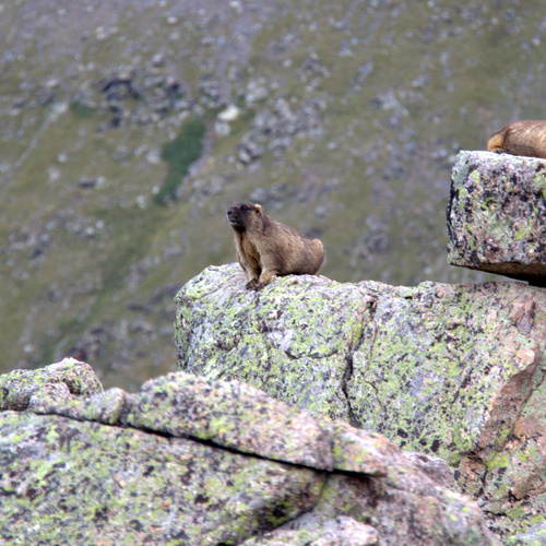 Photo #13985966