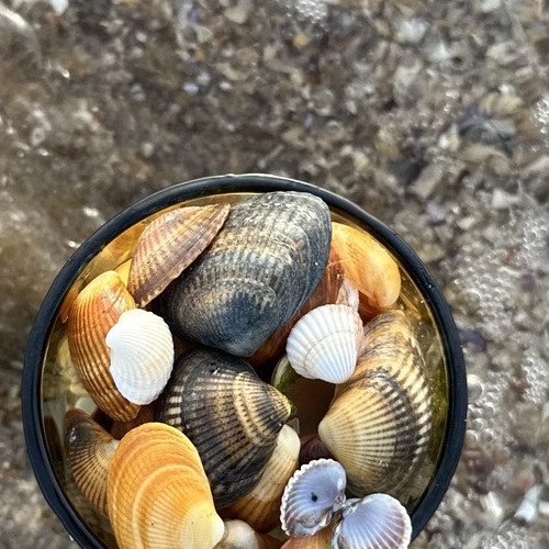 Photo #13986033