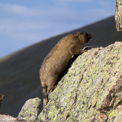 Photo #13986075