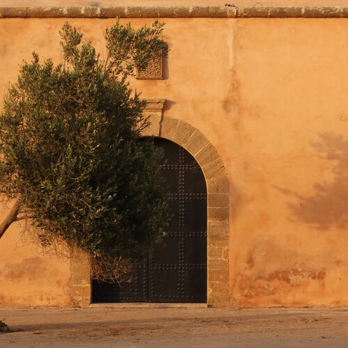 Photo #13986345