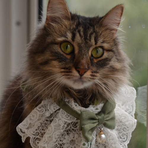 Photo #13986393