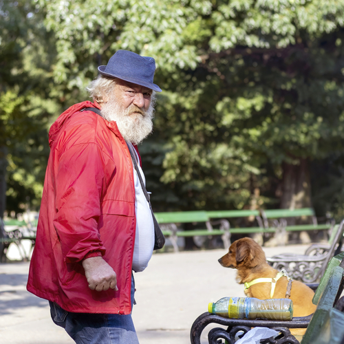 Photo #13986504