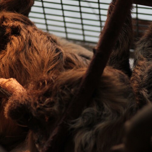 Photo #13986509