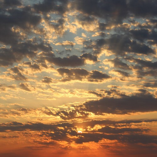 Photo #13986533