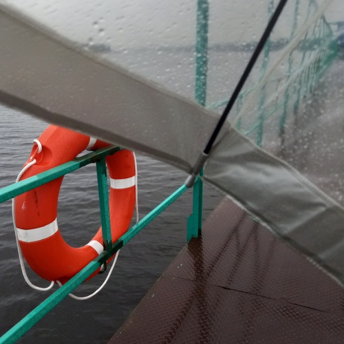 Water around: Safety first!