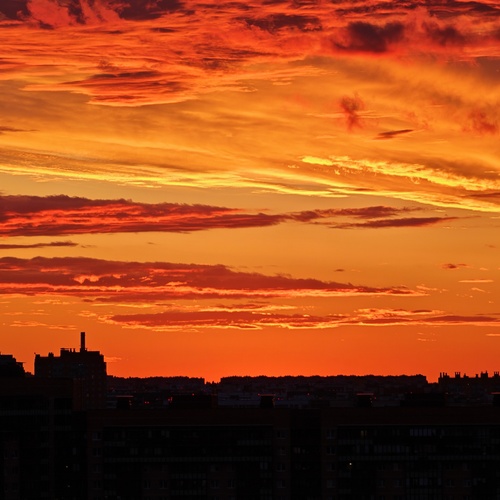 Photo #13986682