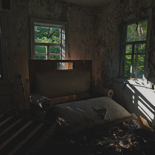 Photo #13986934