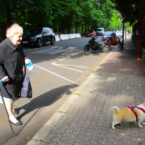 Photo #13987052