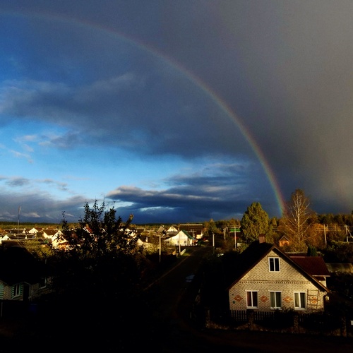 Photo #13987396