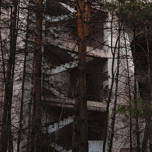 Photo #13987426