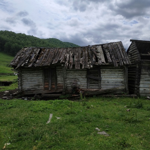 Photo #13987450