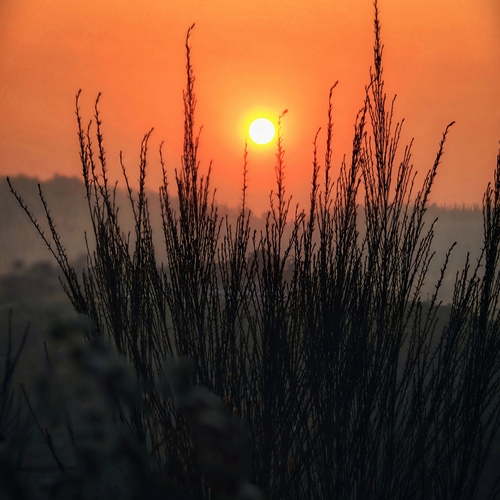 Photo #13987573