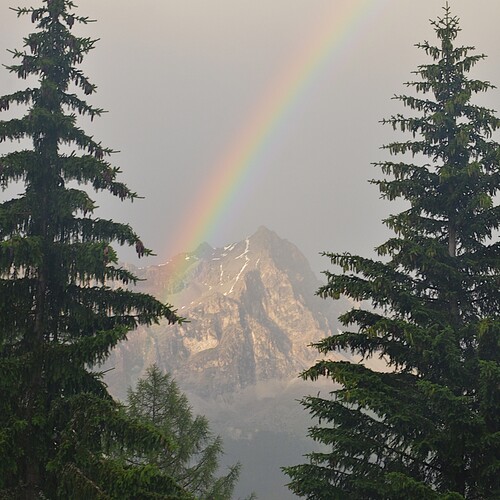 Photo #13987896