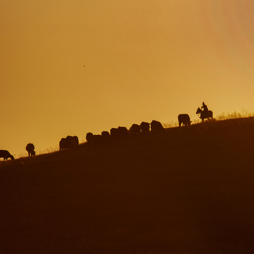 Photo #13987989