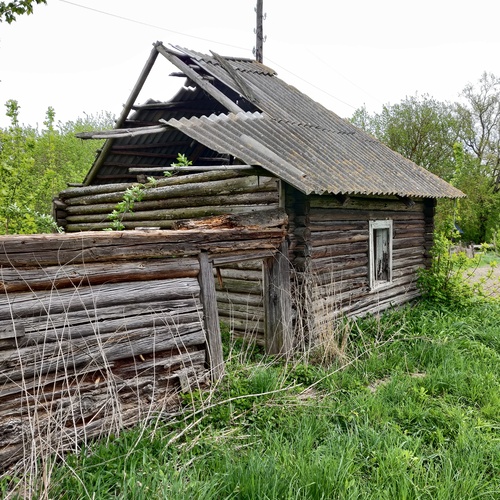 Photo #13988020