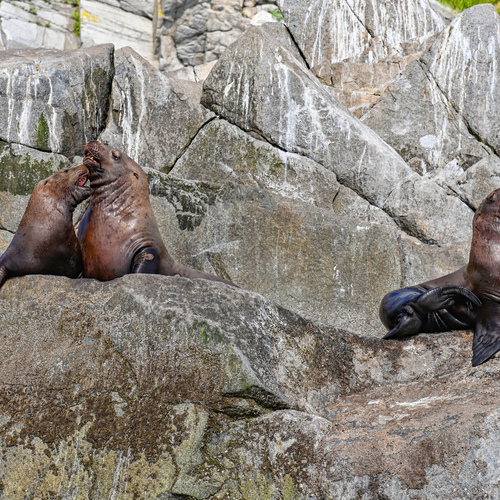 Photo #13988034