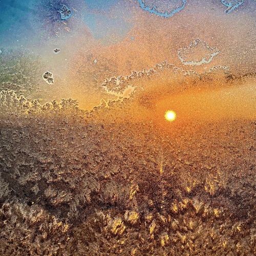 Photo #13988040