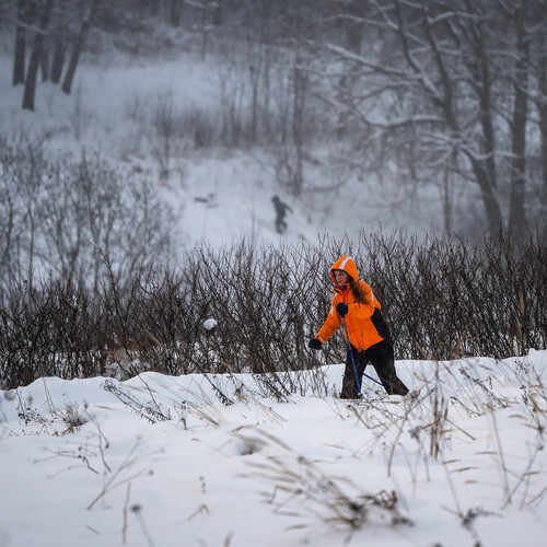 Photo #13988083