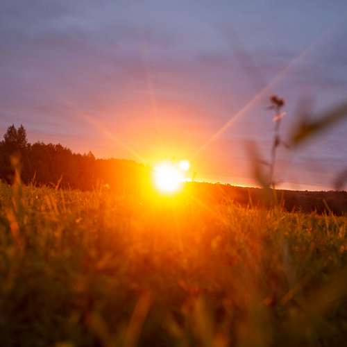 Photo #13988144