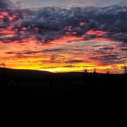 Photo #13988178