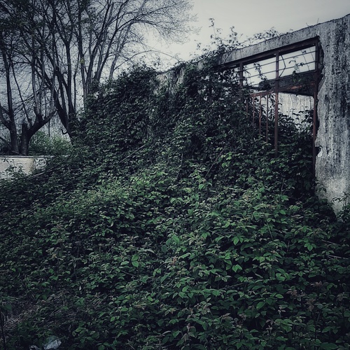Photo #13988230