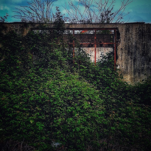 Photo #13988282